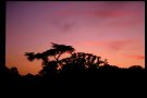 Sunset, Normandy